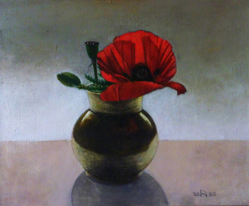 mohn